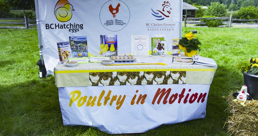 poultry in motion table